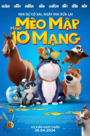 Meraklı Kedinin 10 Yaşamı