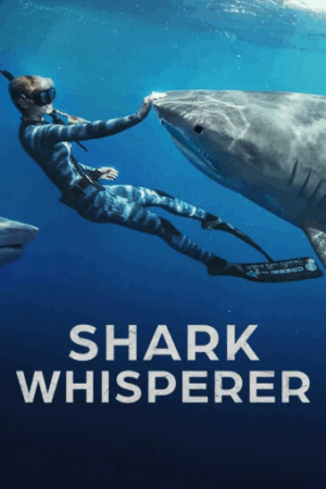 Köpek Balıklarına Fısıldayan Kadın