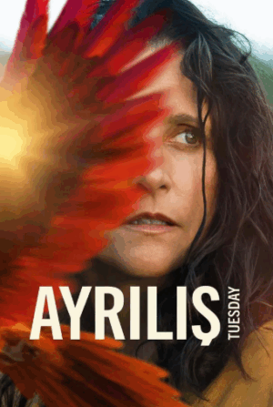 Ayrılış