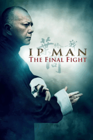 Ip Man Son Dövüş